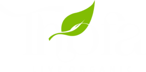 Thofa-logo1-1024x504